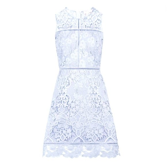 ted baker primrose lace dress